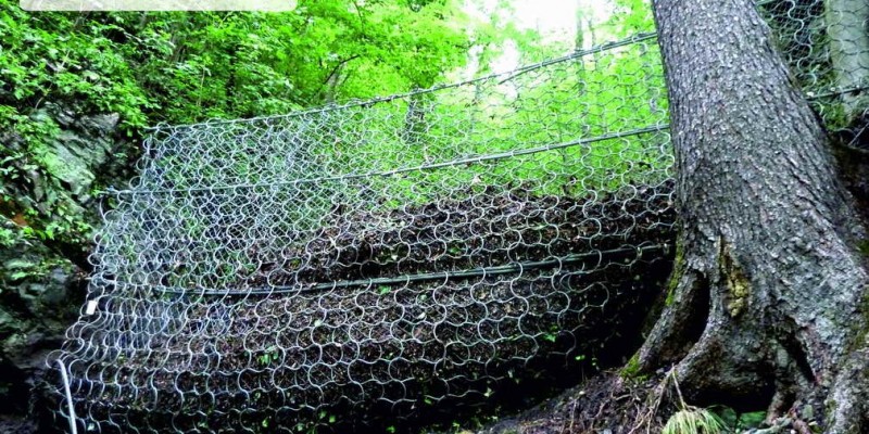 dibris-flow-barrier dibris-flow-barrier